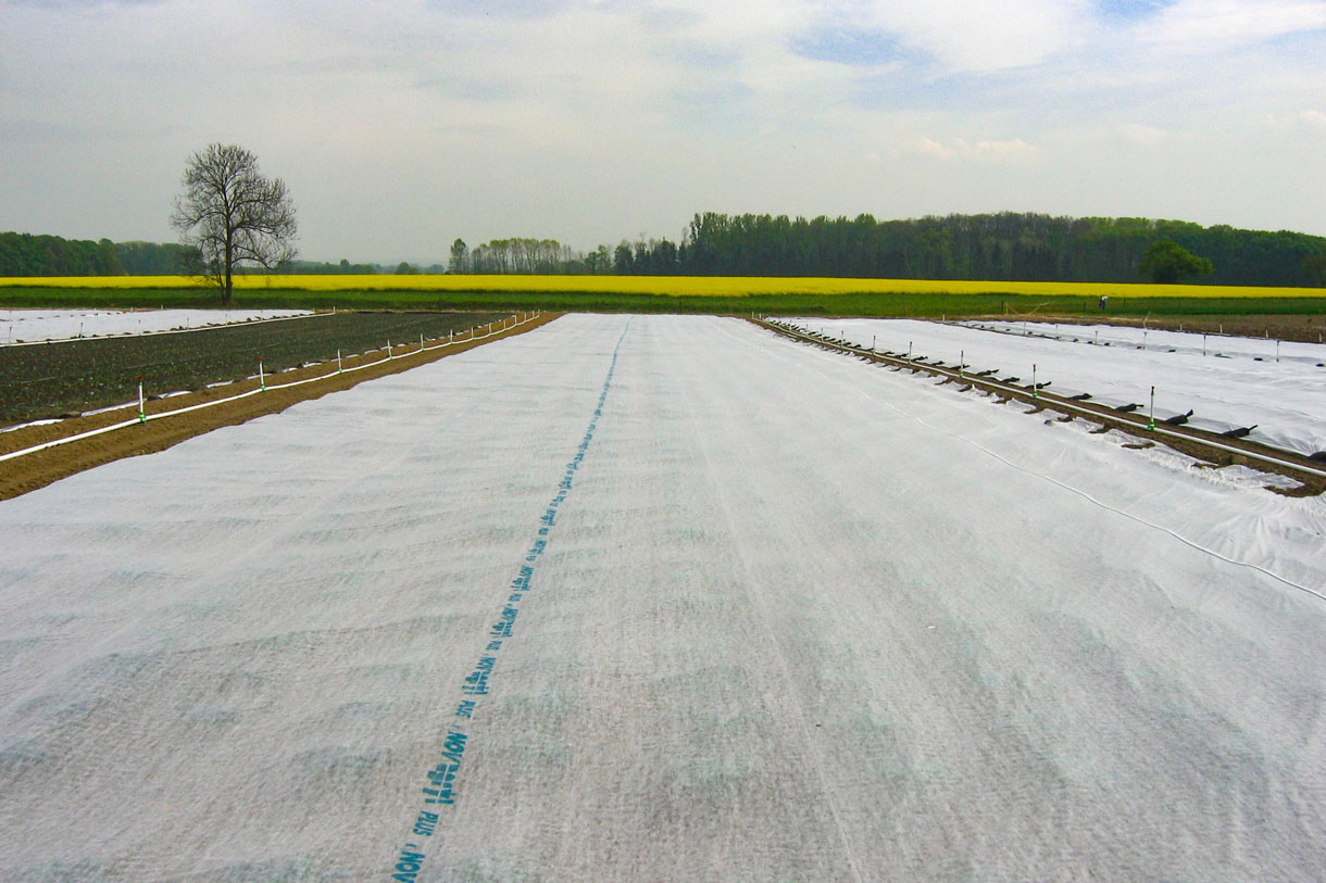 tessuto-non-tessuto-per-la-filtrazione-agricola-e-la-protezione-campi-e-agricoltura